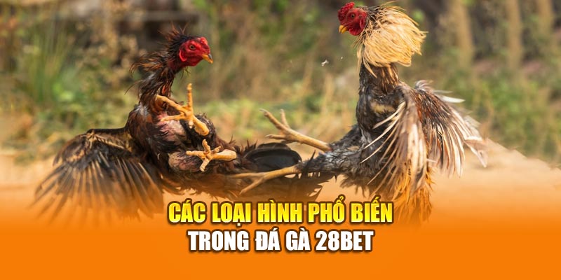 Các loại hình phổ biến trong đá gà 28bet