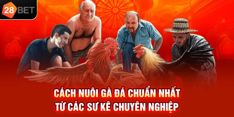 cach nuoi ga da chuan nhat tu cac su ke chuyen nghiep 1