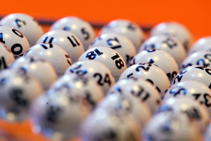 Mẹo nuôi dàn đề 28BET hiệu quả